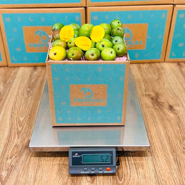 Sugar Mango Box GoogleON Tropical Fruit Box